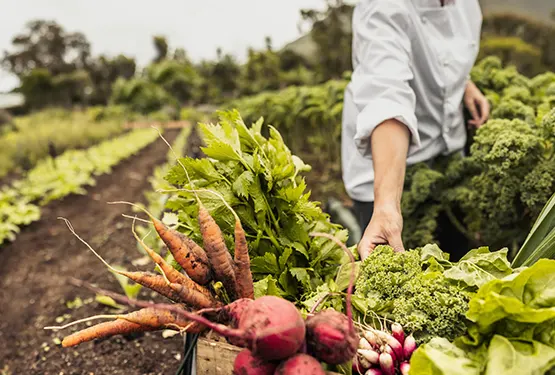 Cultivo natural con respeto a la biodiversidad