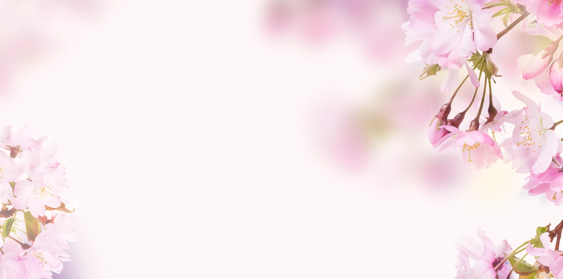 Inspiracion botánica para tu hogar